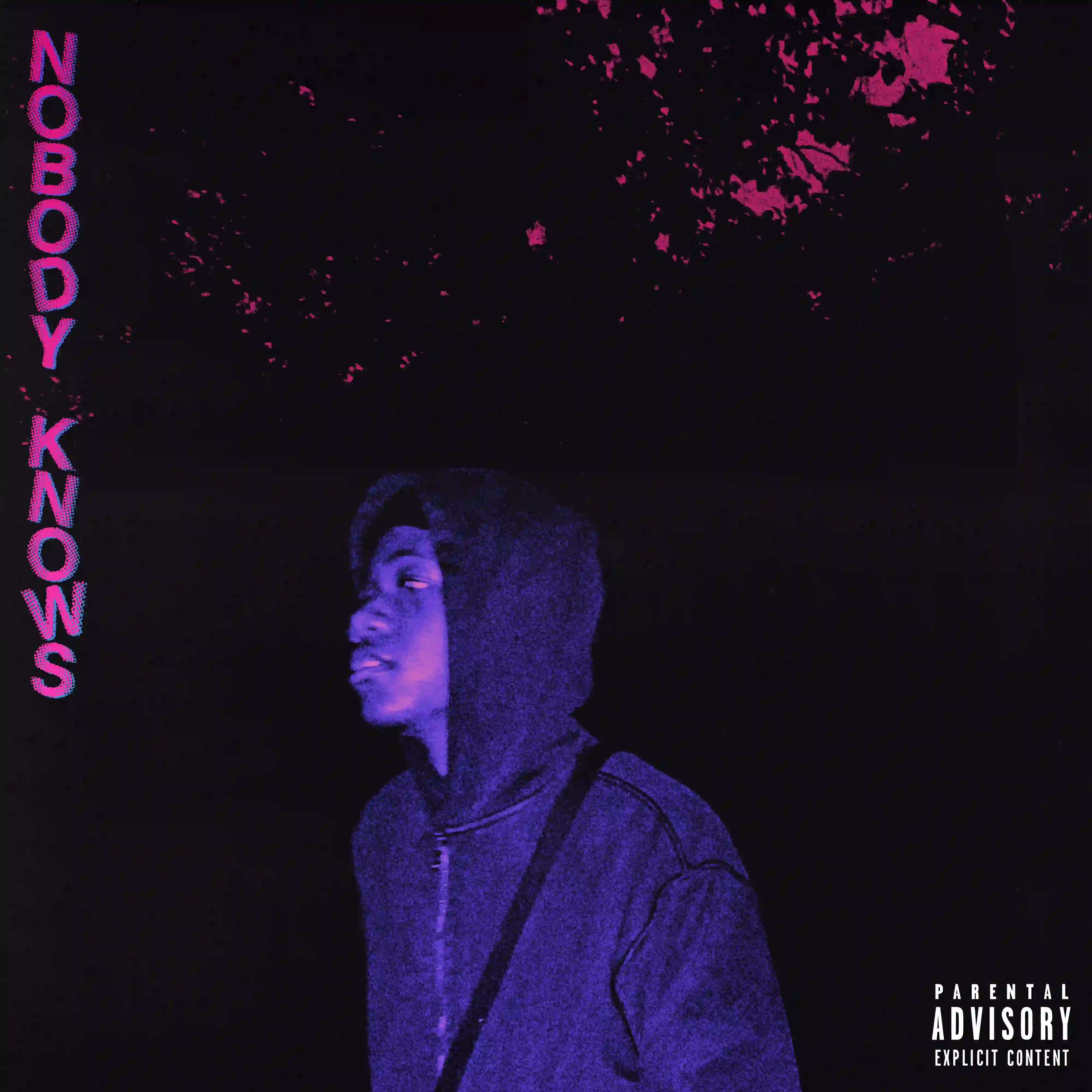 Nobody Knows Cover
